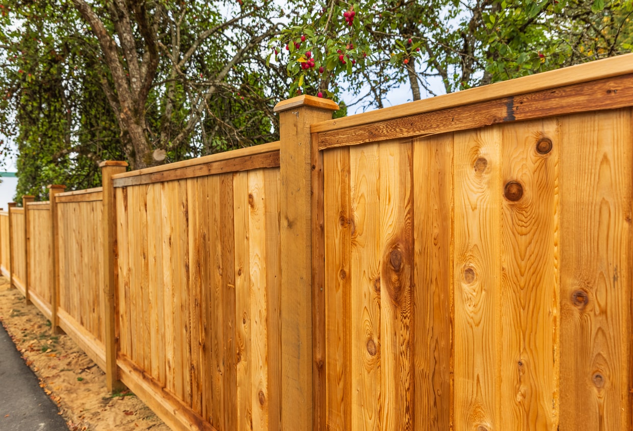 Buying Guide to Timber Fencing